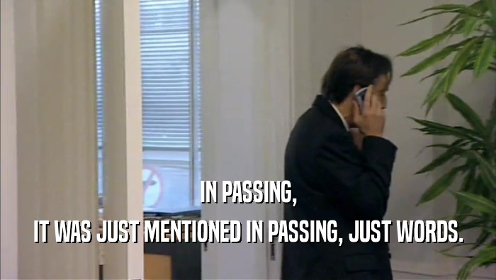 IN PASSING, IT WAS JUST MENTIONED IN PASSING, JUST WORDS. 