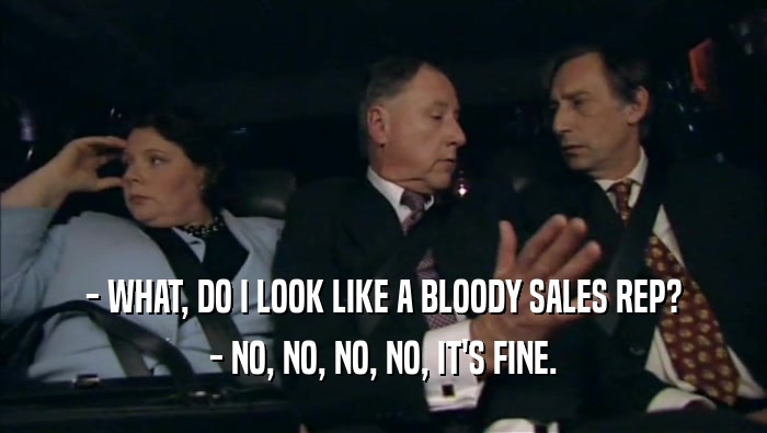 - WHAT, DO I LOOK LIKE A BLOODY SALES REP? - NO, NO, NO, NO, IT'S FINE. 