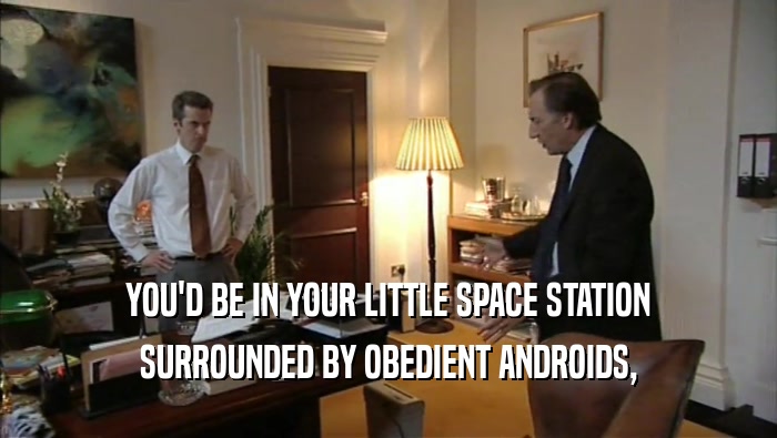YOU'D BE IN YOUR LITTLE SPACE STATION SURROUNDED BY OBEDIENT ANDROIDS, 