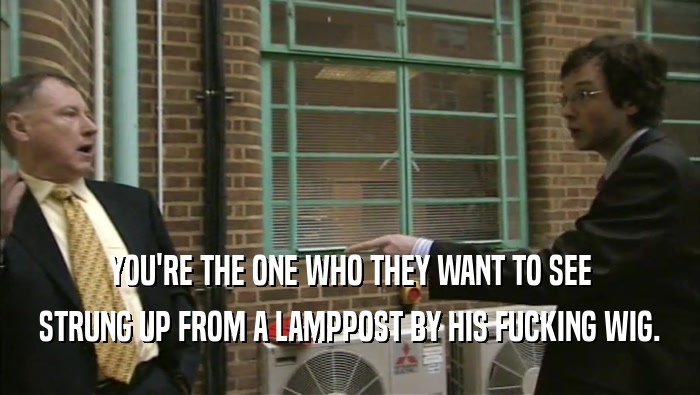 YOU'RE THE ONE WHO THEY WANT TO SEE STRUNG UP FROM A LAMPPOST BY HIS FUCKING WIG. 