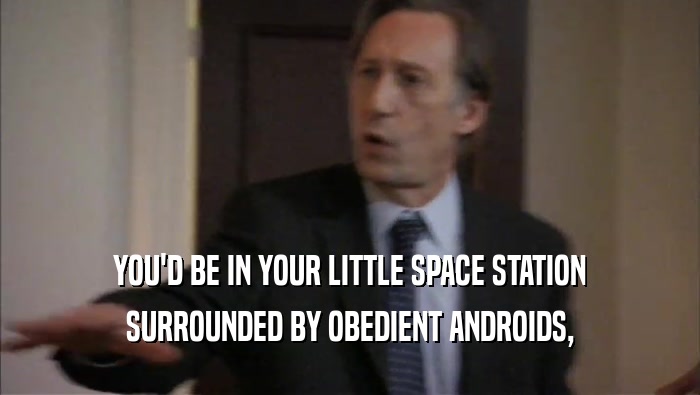 YOU'D BE IN YOUR LITTLE SPACE STATION SURROUNDED BY OBEDIENT ANDROIDS, 