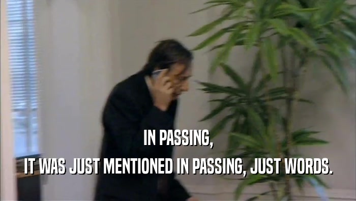IN PASSING, IT WAS JUST MENTIONED IN PASSING, JUST WORDS. 