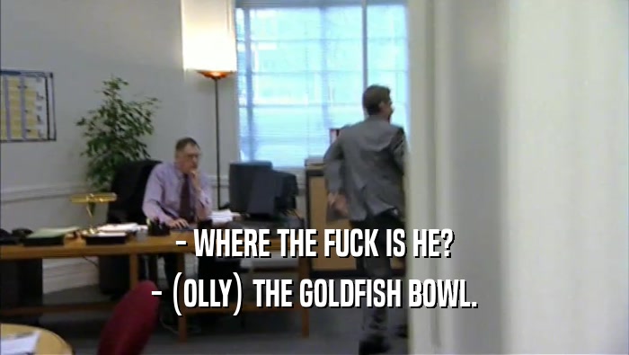 - WHERE THE FUCK IS HE? - (OLLY) THE GOLDFISH BOWL. 
