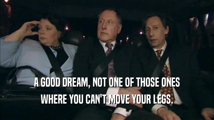 A GOOD DREAM, NOT ONE OF THOSE ONES WHERE YOU CAN'T MOVE YOUR LEGS. 