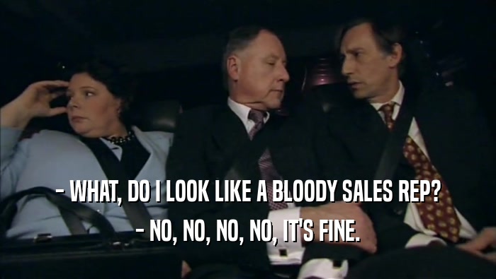 - WHAT, DO I LOOK LIKE A BLOODY SALES REP? - NO, NO, NO, NO, IT'S FINE. 