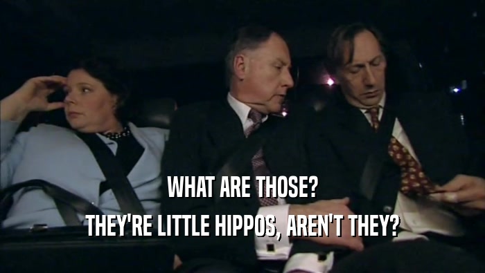 WHAT ARE THOSE? THEY'RE LITTLE HIPPOS, AREN'T THEY? 
