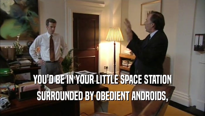 YOU'D BE IN YOUR LITTLE SPACE STATION SURROUNDED BY OBEDIENT ANDROIDS, 