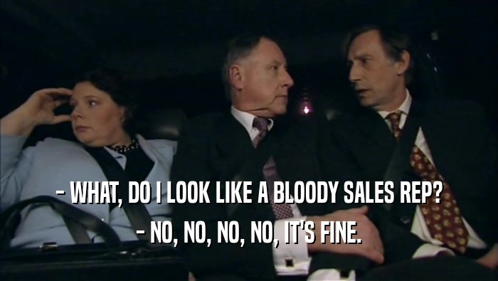 - WHAT, DO I LOOK LIKE A BLOODY SALES REP? - NO, NO, NO, NO, IT'S FINE. 
