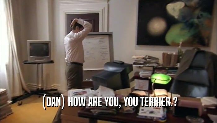 (DAN) HOW ARE YOU, YOU TERRIER.?  