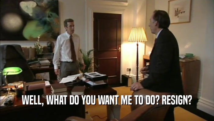 WELL, WHAT DO YOU WANT ME TO DO? RESIGN?  