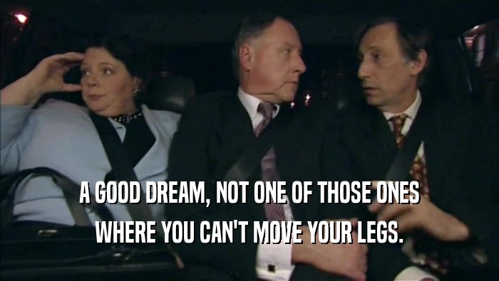 A GOOD DREAM, NOT ONE OF THOSE ONES WHERE YOU CAN'T MOVE YOUR LEGS. 
