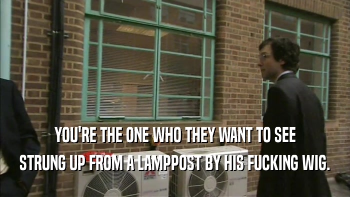 YOU'RE THE ONE WHO THEY WANT TO SEE STRUNG UP FROM A LAMPPOST BY HIS FUCKING WIG. 