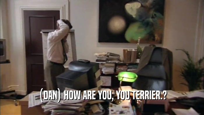 (DAN) HOW ARE YOU, YOU TERRIER.?  