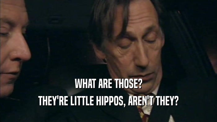WHAT ARE THOSE? THEY'RE LITTLE HIPPOS, AREN'T THEY? 