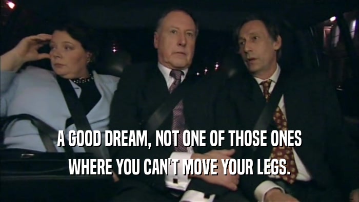A GOOD DREAM, NOT ONE OF THOSE ONES WHERE YOU CAN'T MOVE YOUR LEGS. 