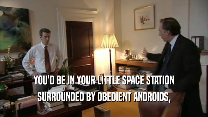 YOU'D BE IN YOUR LITTLE SPACE STATION SURROUNDED BY OBEDIENT ANDROIDS, 