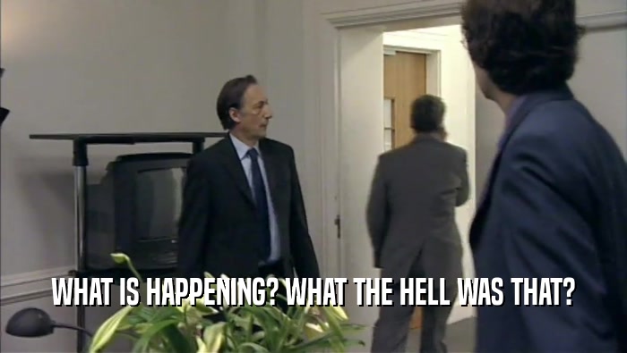 WHAT IS HAPPENING? WHAT THE HELL WAS THAT?  