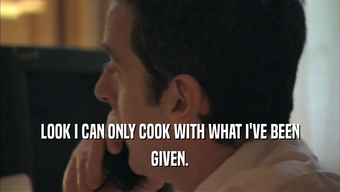LOOK I CAN ONLY COOK WITH WHAT I'VE BEEN GIVEN. 