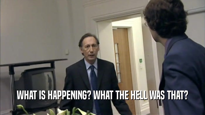WHAT IS HAPPENING? WHAT THE HELL WAS THAT?  