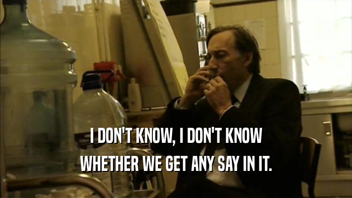 I DON'T KNOW, I DON'T KNOW WHETHER WE GET ANY SAY IN IT. 
