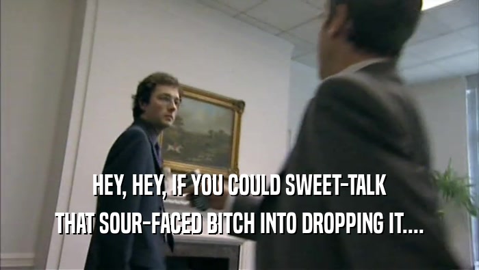 HEY, HEY, IF YOU COULD SWEET-TALK
 THAT SOUR-FACED BITCH INTO DROPPING IT....
 
