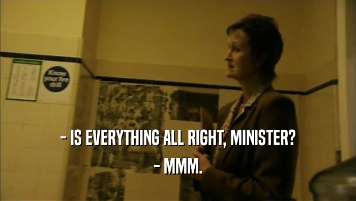- IS EVERYTHING ALL RIGHT, MINISTER? - MMM. 