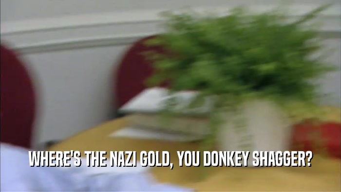 WHERE'S THE NAZI GOLD, YOU DONKEY SHAGGER?  