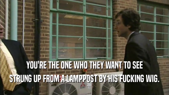 YOU'RE THE ONE WHO THEY WANT TO SEE STRUNG UP FROM A LAMPPOST BY HIS FUCKING WIG. 