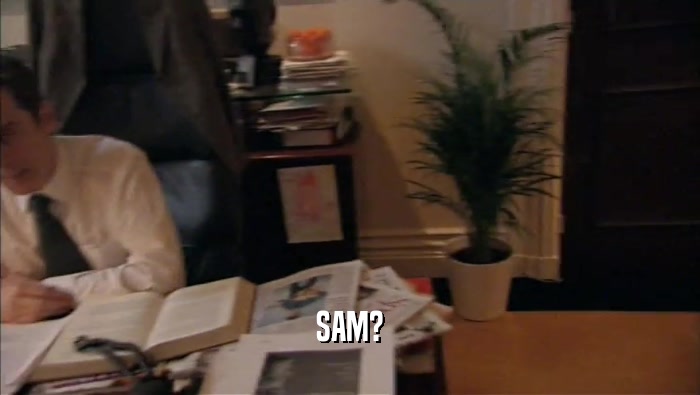 SAM?  