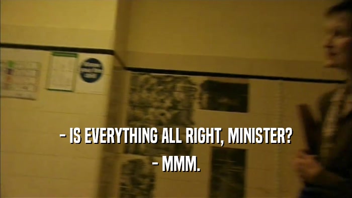 - IS EVERYTHING ALL RIGHT, MINISTER? - MMM. 