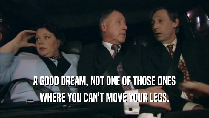 A GOOD DREAM, NOT ONE OF THOSE ONES WHERE YOU CAN'T MOVE YOUR LEGS. 