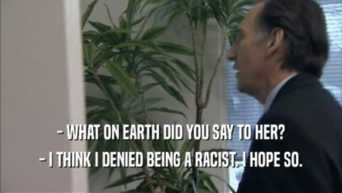 - WHAT ON EARTH DID YOU SAY TO HER? - I THINK I DENIED BEING A RACIST. I HOPE SO. 