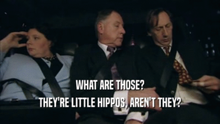 WHAT ARE THOSE? THEY'RE LITTLE HIPPOS, AREN'T THEY? 