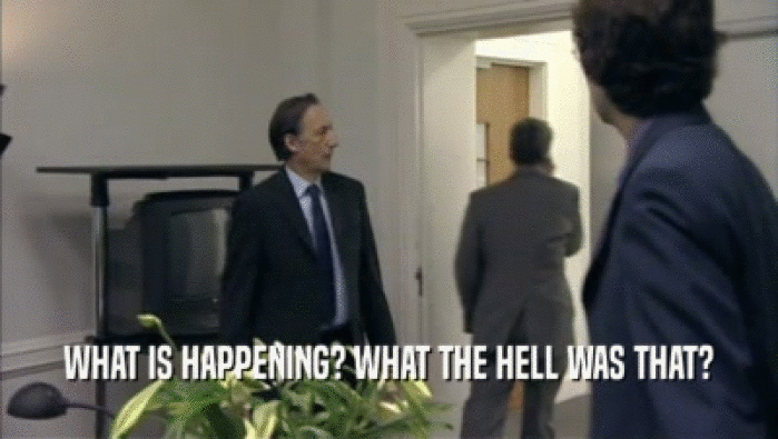WHAT IS HAPPENING? WHAT THE HELL WAS THAT?  