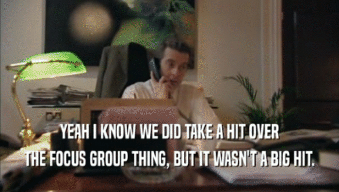YEAH I KNOW WE DID TAKE A HIT OVER THE FOCUS GROUP THING, BUT IT WASN'T A BIG HIT. 