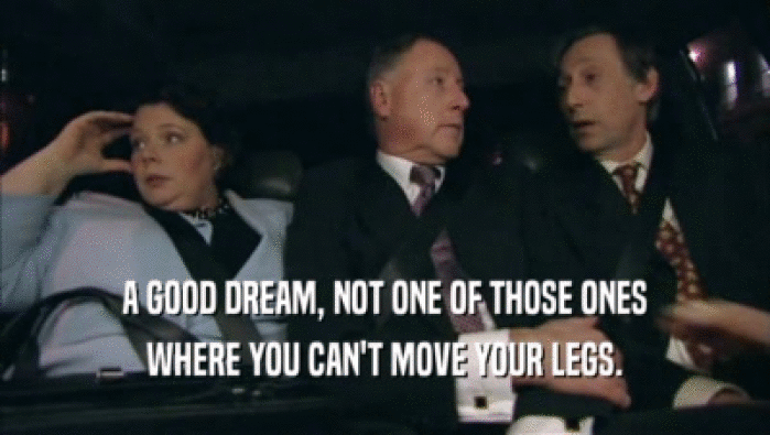 A GOOD DREAM, NOT ONE OF THOSE ONES WHERE YOU CAN'T MOVE YOUR LEGS. 