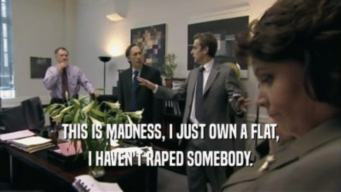THIS IS MADNESS, I JUST OWN A FLAT, I HAVEN'T RAPED SOMEBODY. 
