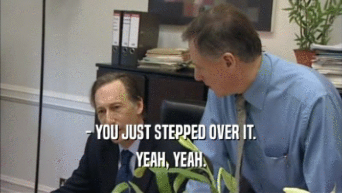 - YOU JUST STEPPED OVER IT. YEAH, YEAH. 