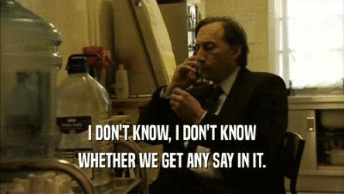 I DON'T KNOW, I DON'T KNOW WHETHER WE GET ANY SAY IN IT. 