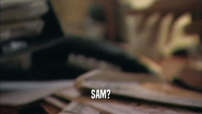 SAM?  