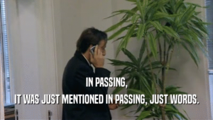 IN PASSING, IT WAS JUST MENTIONED IN PASSING, JUST WORDS. 