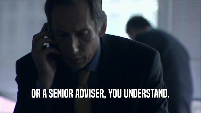 OR A SENIOR ADVISER, YOU UNDERSTAND.  