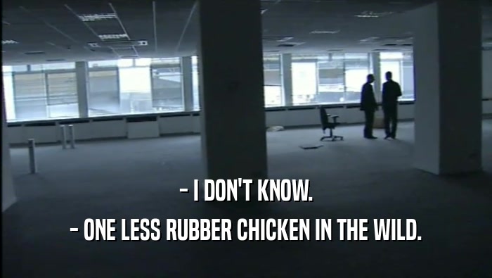- I DON'T KNOW. - ONE LESS RUBBER CHICKEN IN THE WILD. 