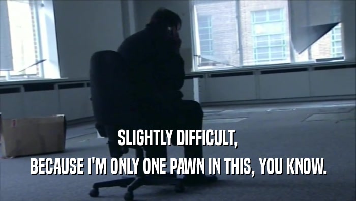 SLIGHTLY DIFFICULT, BECAUSE I'M ONLY ONE PAWN IN THIS, YOU KNOW. 