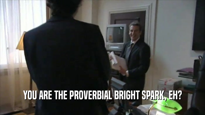YOU ARE THE PROVERBIAL BRIGHT SPARK, EH?  