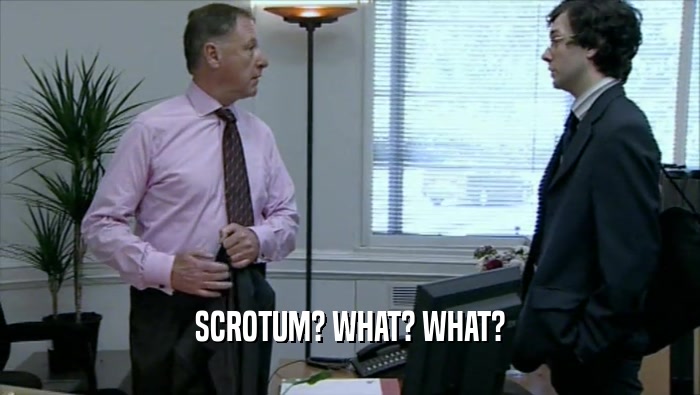 SCROTUM? WHAT? WHAT?
  