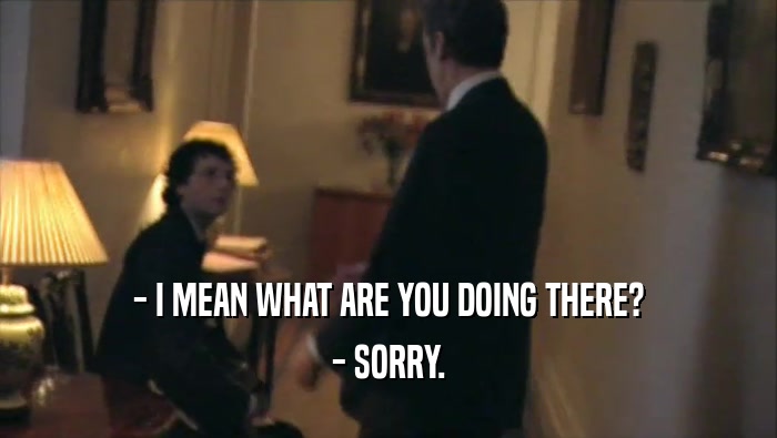 - I MEAN WHAT ARE YOU DOING THERE? - SORRY. 