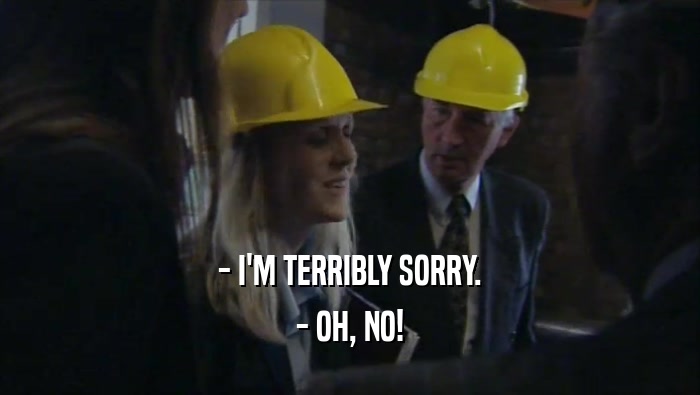 - I'M TERRIBLY SORRY. - OH, NO! 