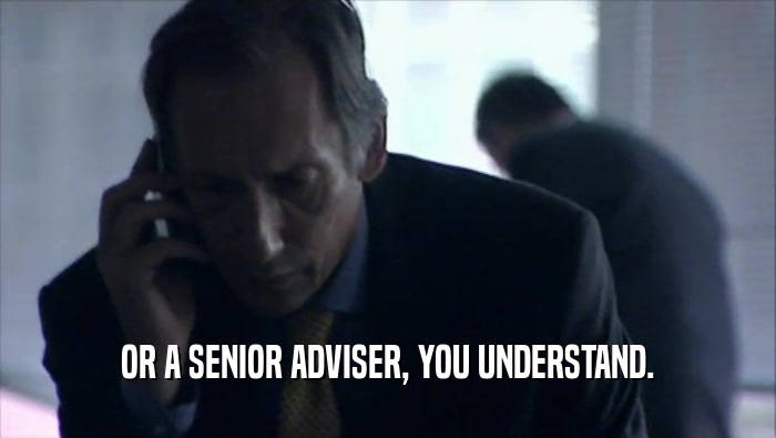 OR A SENIOR ADVISER, YOU UNDERSTAND.  