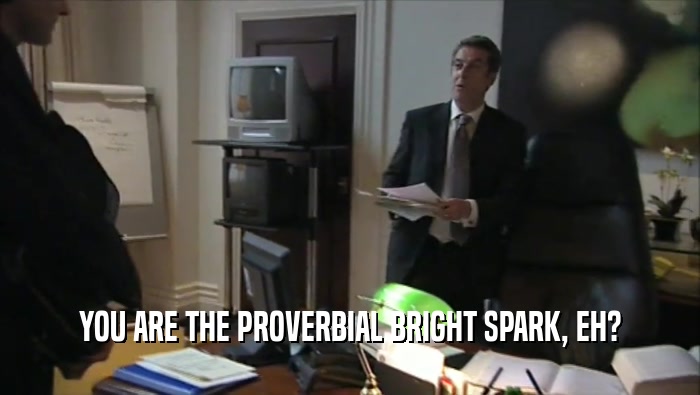 YOU ARE THE PROVERBIAL BRIGHT SPARK, EH?  